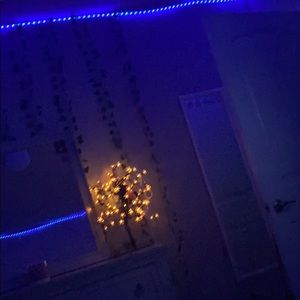 Meet your Posher, Kylee